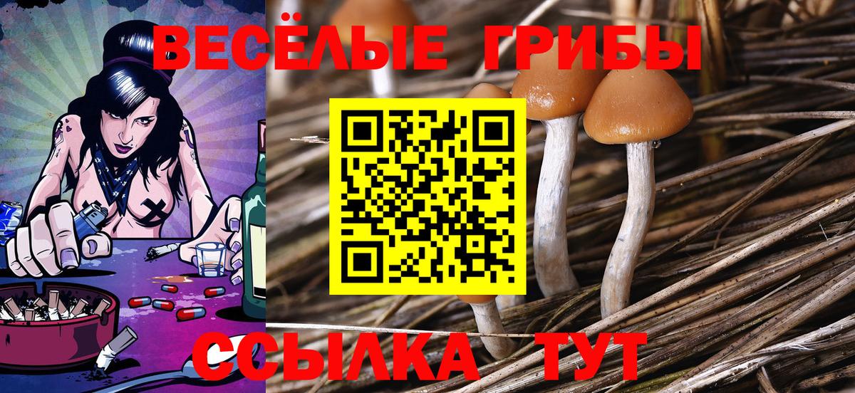 Галлюциногенные грибы прущие грибы Фрязино