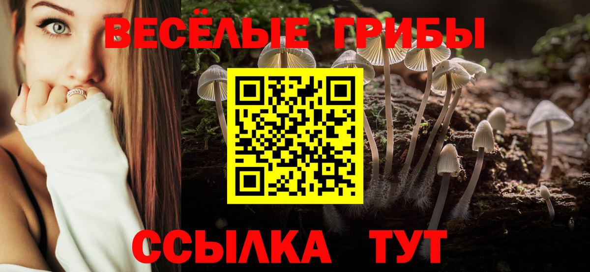 Галлюциногенные грибы GOLDEN TEACHER  Вход с VPN  где найти наркотики  Фрязино 